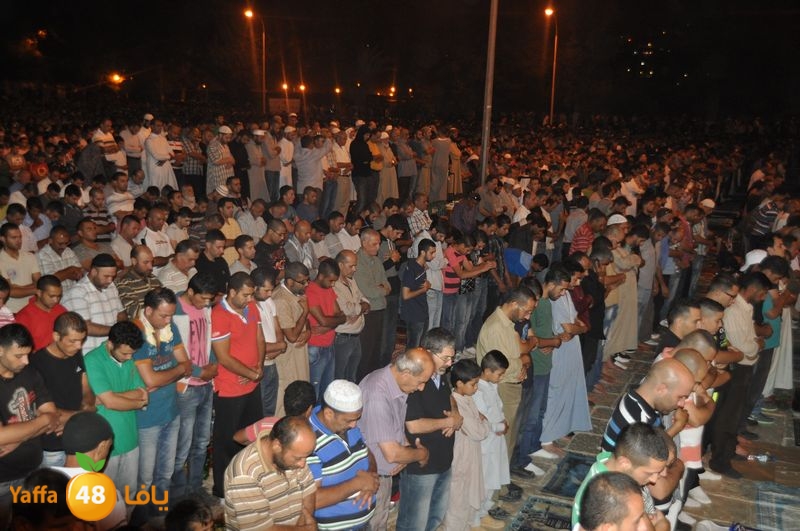 lud trawer7 aqsa 805 (5).JPG